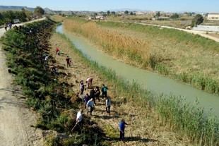 Estudiantes de la UPCT se suman a la restauración del río Segura en Lorquí