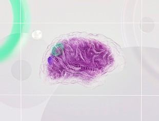 Investigadores de la UC revelan que la divagación mental es un mecanismo de limpieza cerebral, no un error