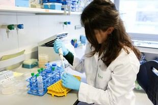 UPM contratará 20 jóvenes investigadores en Madrid