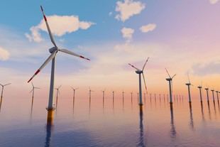 La importancia de los parques eólicos en la estrategia de energía neta cero del Reino Unido