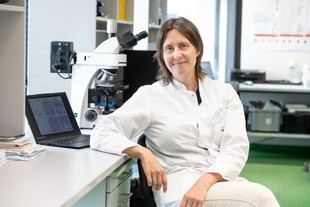 RWTH Aachen investiga la conexión entre enfermedades renales y ataques cardíacos bajo la dirección de la Dra. Heidi Noels