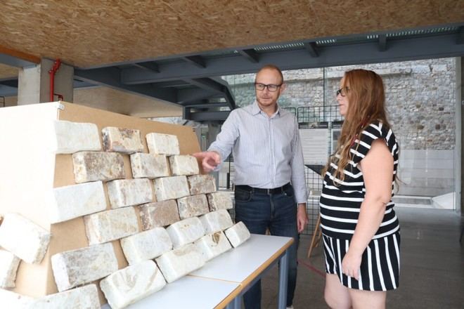 Exponen el uso del micelio como innovador biomaterial en construcción