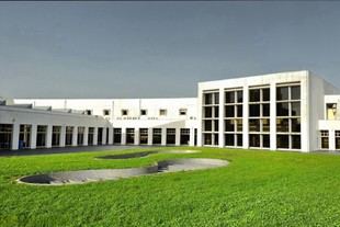 FADEUP conmemora 50 años de servicio al deporte y la comunidad