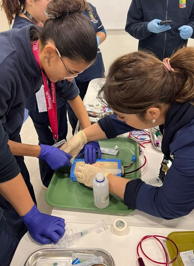 Desarrollan modelo ecológico para practicar punciones venosas en estudiantes