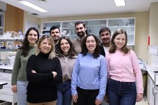 FCUP investiga la resiliencia climática de cultivos agrícolas