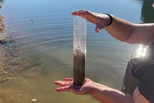 FCUP revela avances en el proyecto Cyan’EAU sobre cianobactérias en la Albufeira da Aguieira