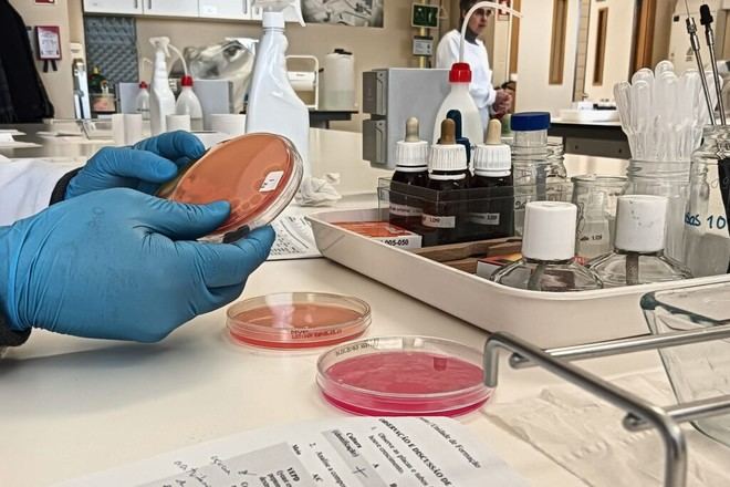 FCUP lanza proyecto para enseñar microbiología en escuelas secundarias