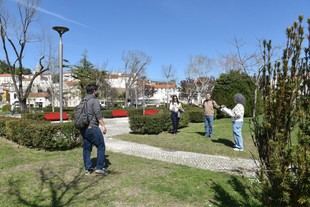 FCUP propone acciones para restaurar el patrimonio arbóreo de Leiria