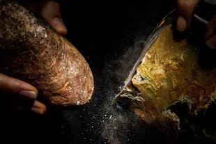 FOTCIENCIA21 elige las mejores fotografías científicas del año