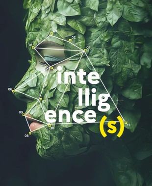Fête de la Science 2025 en Sorbonne Université: evento gratuito para todos