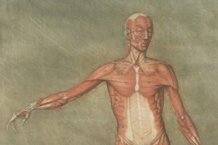 Evento conmemorativo de las Ciencias de la Salud en Porto el 9 de abril