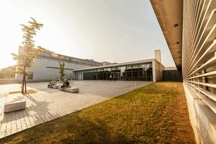 Congreso sobre Comunicación Clínica en la Era de la Inteligencia Artificial