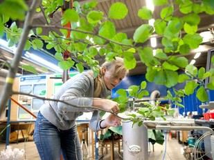 Curso de Sostenibilidad para Docentes en la Universidad de Lisboa