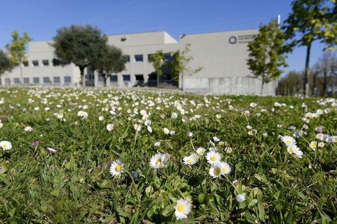 FPCEUP conmemora el Día Nacional del Psicólogo con diversas perspectivas sobre la profesión