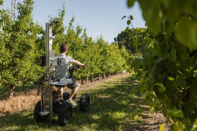 Nuevos proyectos de Agrotecnio e IRTA en cultivo de fruta, lácteos y mejora genética porcina