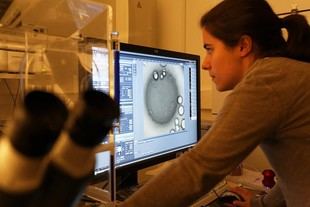 Desmitificando la neutralidad en la ciencia y el género