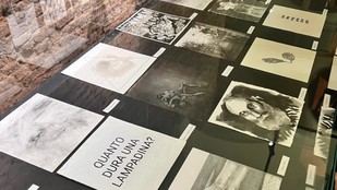 Inauguran la muestra "Muselmann" en el Museo de la Grafica por el Día de la Memoria