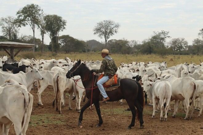 El cambio global hacia dietas basadas en plantas transformará el empleo agrícola y reducirá costos laborales, según un estudio de Oxford