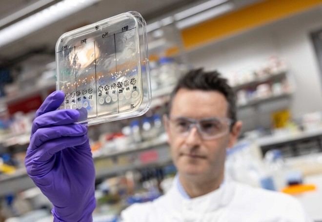 GSK y la Iniciativa Fleming lanzan programas de investigación para combatir la resistencia antimicrobiana con IA avanzada