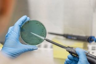 Guantes y tablas de cortar, fuentes de contaminación en zumos no pasteurizados