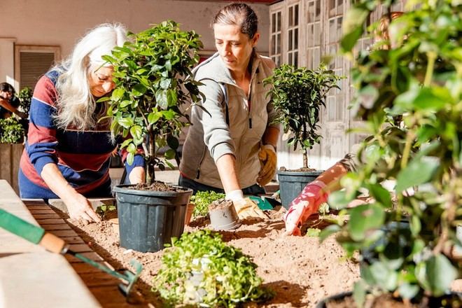 Renuevan los canteiros en la Universidad de Coimbra con un nuevo proyecto ambiental