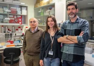 Nuevo descubrimiento sobre histonas extracelulares y su papel en la sepsis