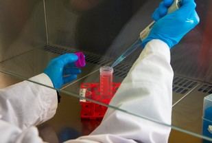 Descubren huella bacteriana única en pólipos infantiles en La Plata