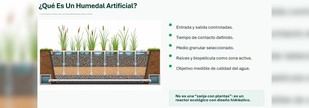 Humedales artificiales como solución sostenible para aguas residuales