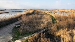 Humedales artificiales: una solución para mejorar la calidad del agua