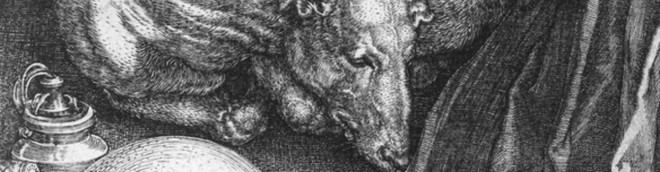 Estudio sobre emociones y ética en perros de refugio en Roma
