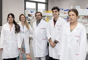 Descubren propiedades antioxidantes en hojas y corteza del anacardo