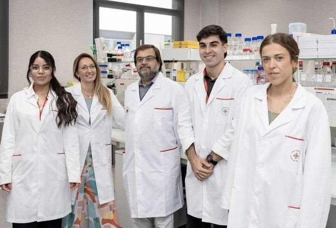 Descubren propiedades antioxidantes en hojas y corteza del anacardo