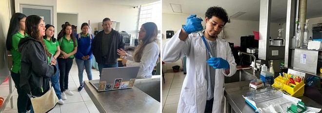 Iice-UV impulsa investigación multidisciplinaria en neurociencias