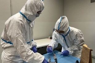 El laboratorio de Genética Forense de la Universidad de Bolonia recibe certificación europea de calidad
