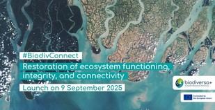 Biodiversa+ lanza convocatoria internacional para restaurar ecosistemas
