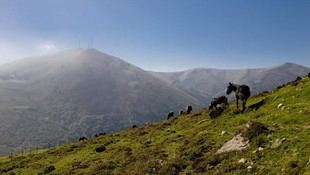 Terras do Miño–Serra do Xistral obtiene reconocimiento internacional como Paisaje Emblemático Mundial