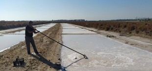 Seminario sobre salinas artesanales y economía azul en la Universidad de Cádiz
