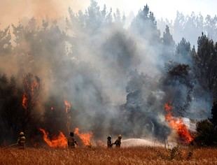 Incendios devastan Ñuble y Biobío, afectan a miles de familias