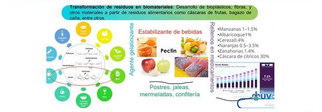 Biotecnología: una solución para reducir el desperdicio alimentario