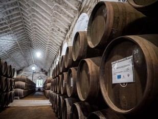INNOFINO: Adaptación del vino fino andaluz a nuevas tendencias de consumo