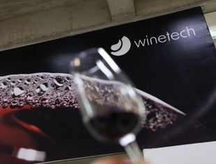 Innovación UC transforma la evaluación del vino con datos objetivos