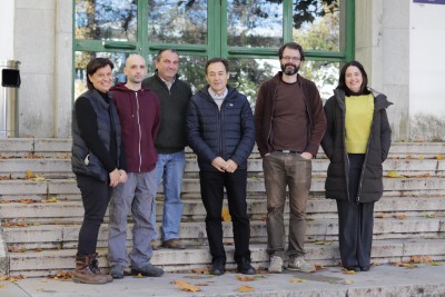 Sistema de IA predice el periodo de floración en colmenas a distancia