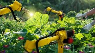 Inteligencia artificial y datos para la sostenibilidad en la industria alimentaria