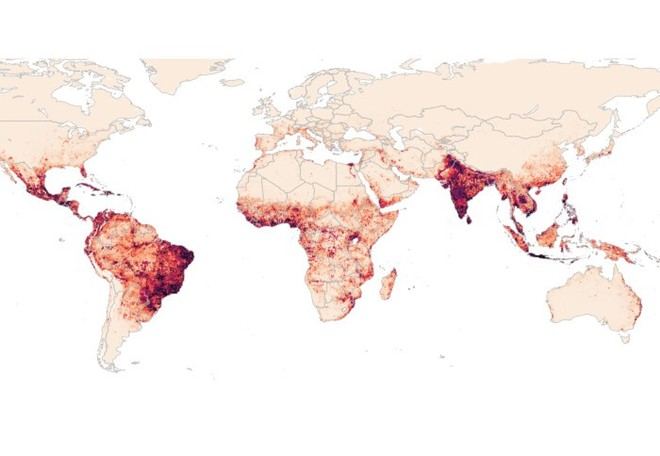 Red internacional se une para investigar el dengue y Zika en África y Asia