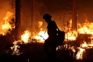 La Universitat de Lleida propone intervenir en el 5% del bosque para combatir incendios