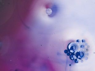 Impacto de la investigación de la Universidad de Lisboa en la sociedad