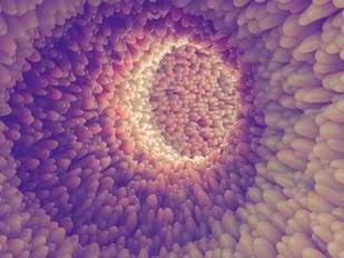 Identifican un nuevo marcador serológico para la colangitis esclerosa primaria