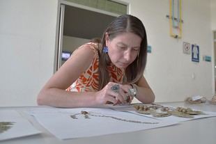 Etelvina Gándara asume la presidencia de la Sociedad Botánica de México