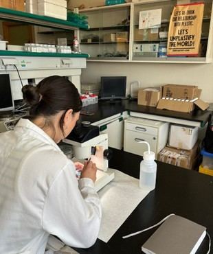 Detectan microplásticos por primera vez en la isla Decepción, Antártida