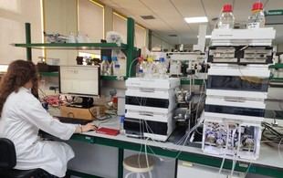 Investigadores andaluces validan la seguridad ambiental de biopesticidas a base de naranja y canela